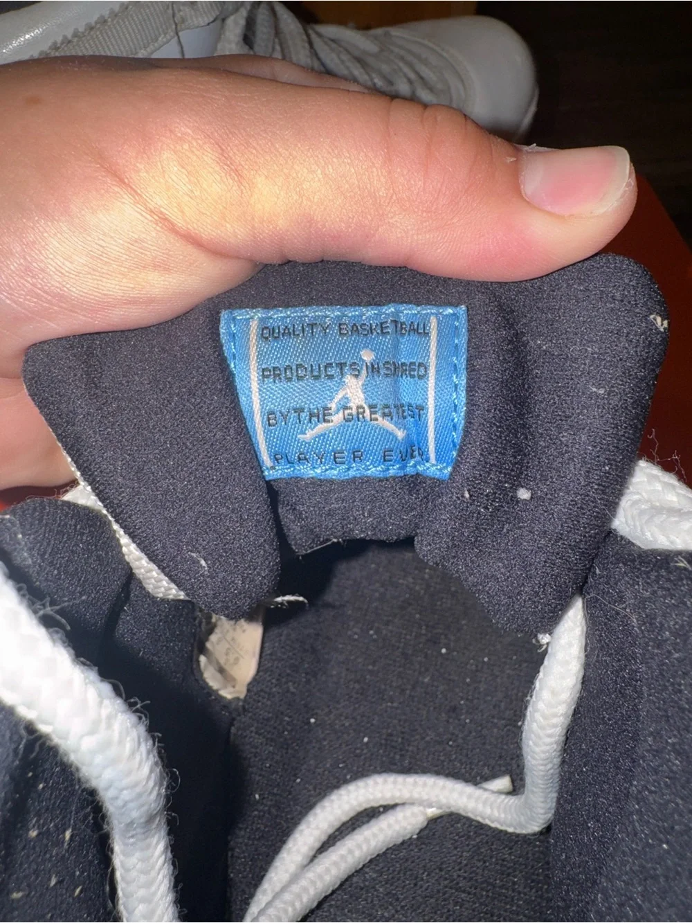 Jordan 11 “Legend Blue”